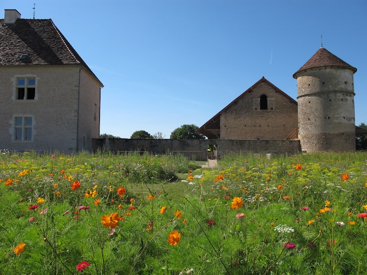 Manoir Equivocal Le "Petit Moux" Houses for Rent in