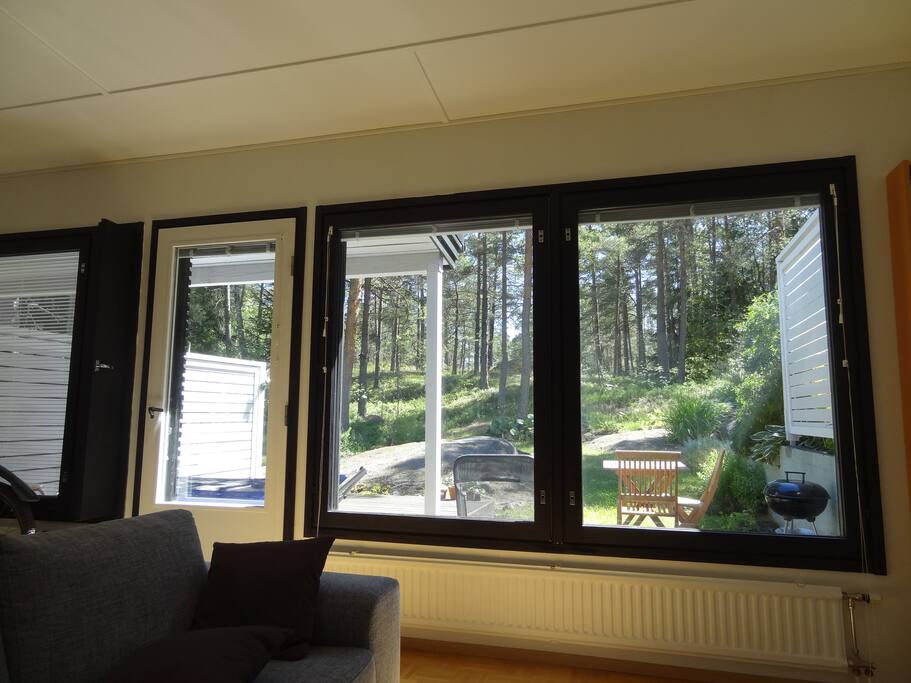 View of the yard from the living room in summer