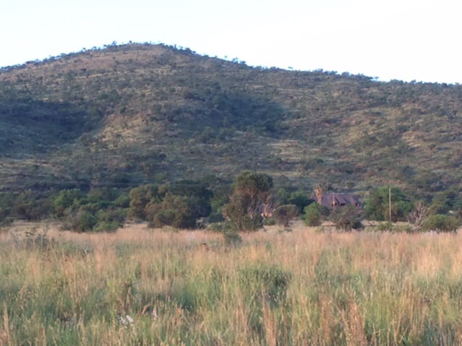 The house and mountain