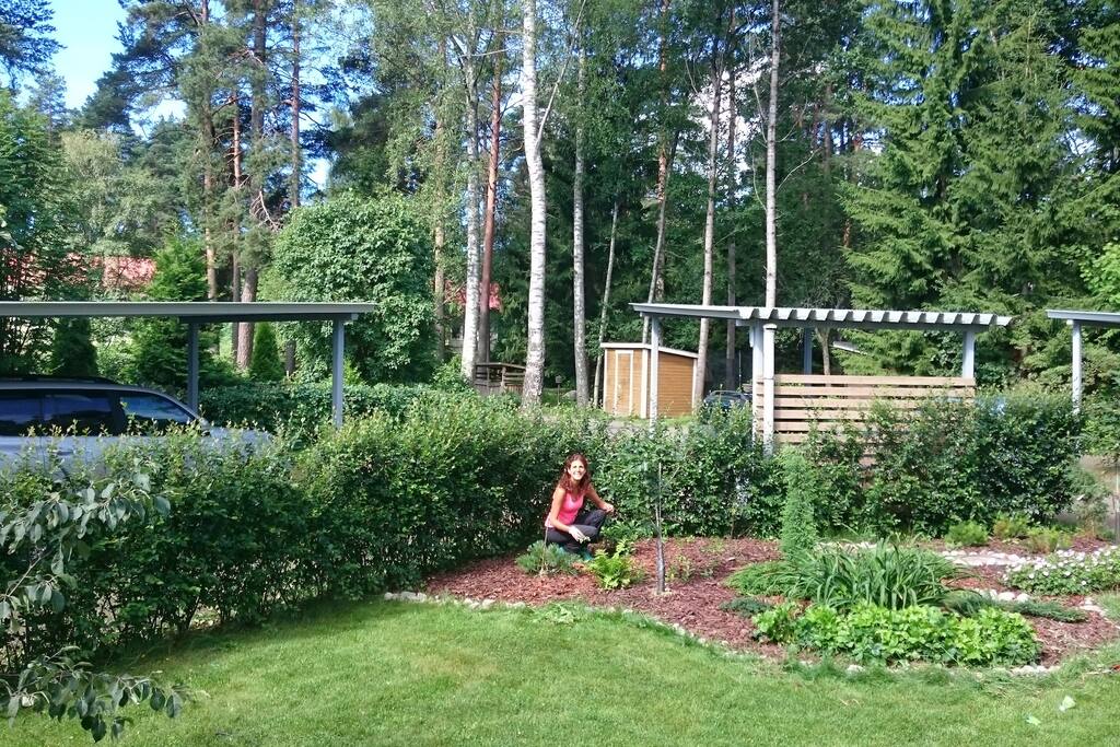 Front garden