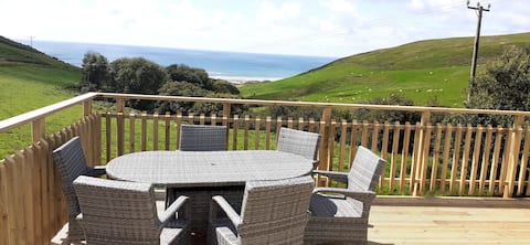 Successful Airbnb property: Aberdyfi Caravan. in Abertafol, Dyfi