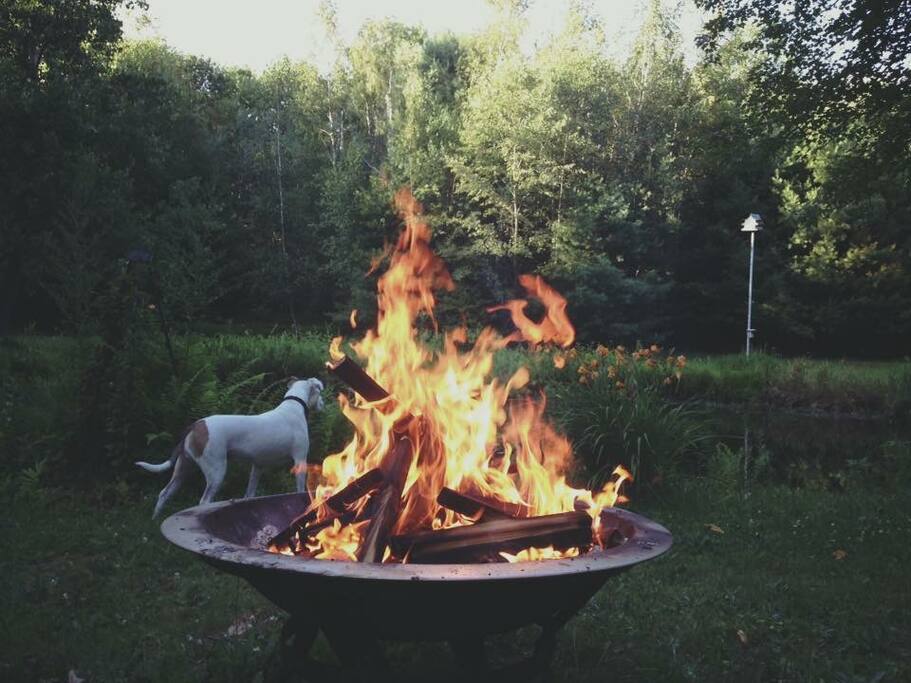 Dog not included