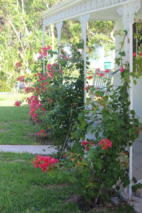 Front yard