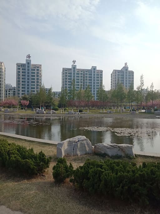 小区是高档社区,紧邻绿洲公园。
