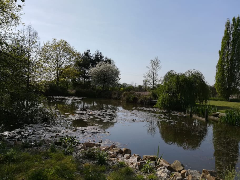 Jardin
