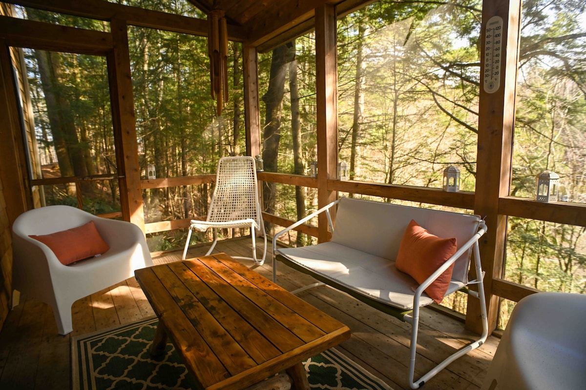 A screened-in porch features wooden framing and a cozy atmosphere, furnished with a wooden coffee table and comfortable seating. Natural light filters through the screens, enhancing the connection to the surrounding woods.