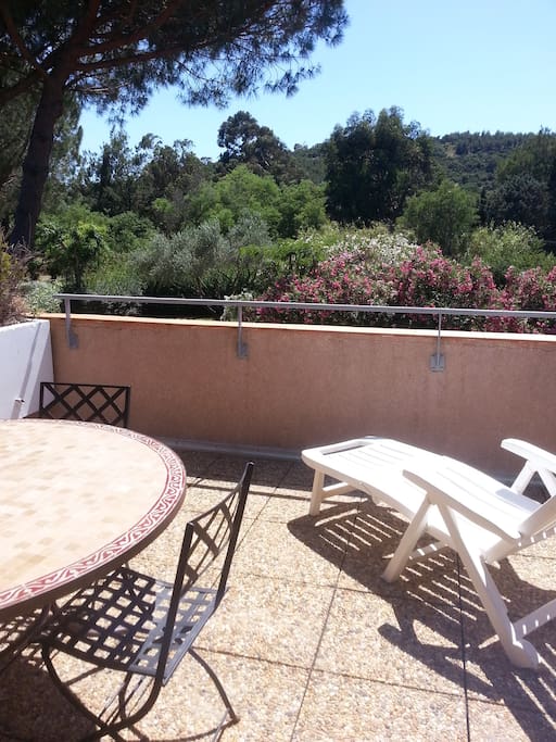 Appartement Lavandou Appartement Lavandou