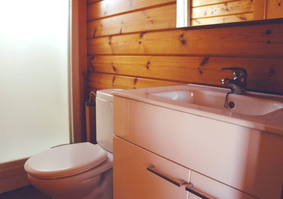 A bathroom is shown with wooden paneling and natural lighting. A modern sink with a sleek faucet is positioned next to a white toilet. A large mirror above the sink enhances the feeling of space, while a frosted glass panel allows for privacy.