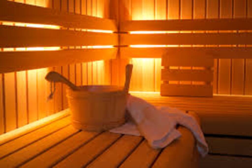 Sauna and steam room