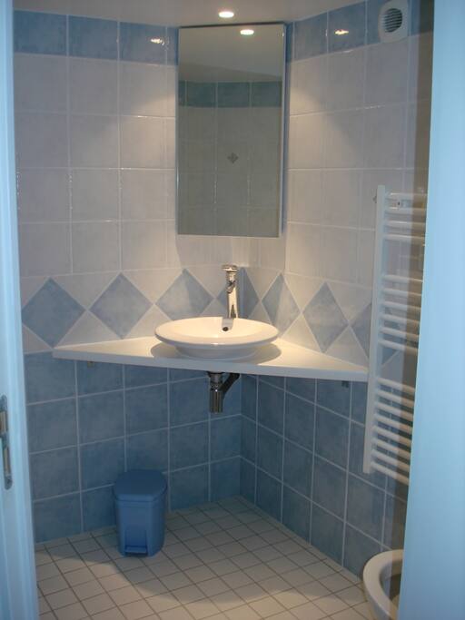 Salle d'eau "la cabane du terre-neuvas"