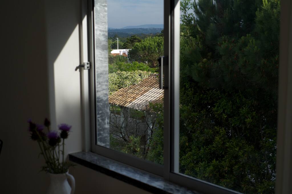 View from the window