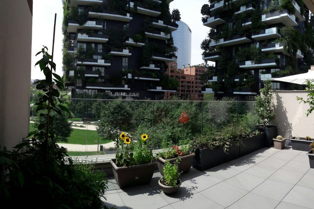 terrace