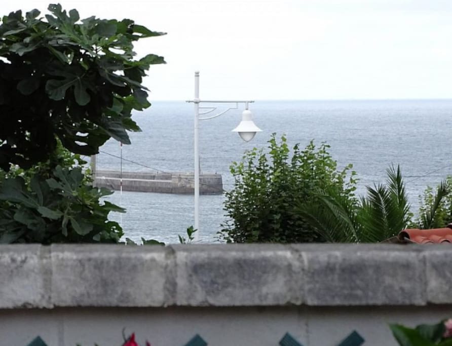 Vistas desde la terraza