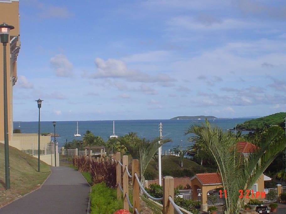View from the common areas