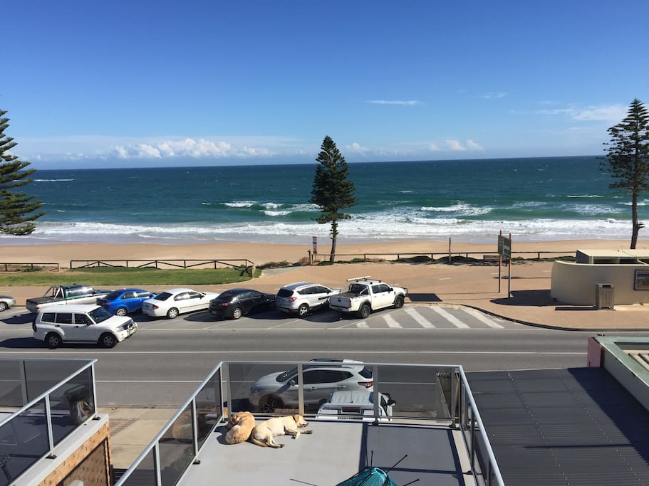 Beach access directly opposite front gate