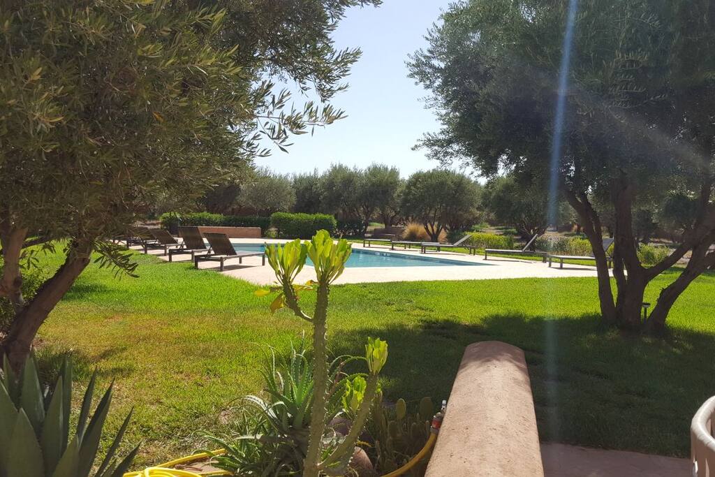 Piscine 16 x 8 m