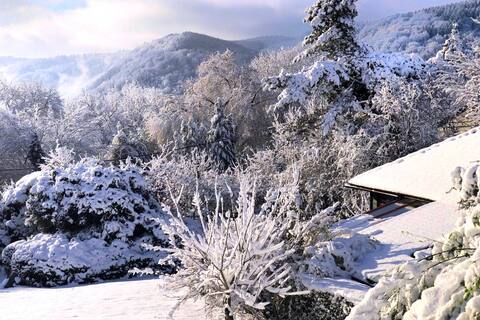 Vintage Chalet in Sougné-Remouchamps near Forest