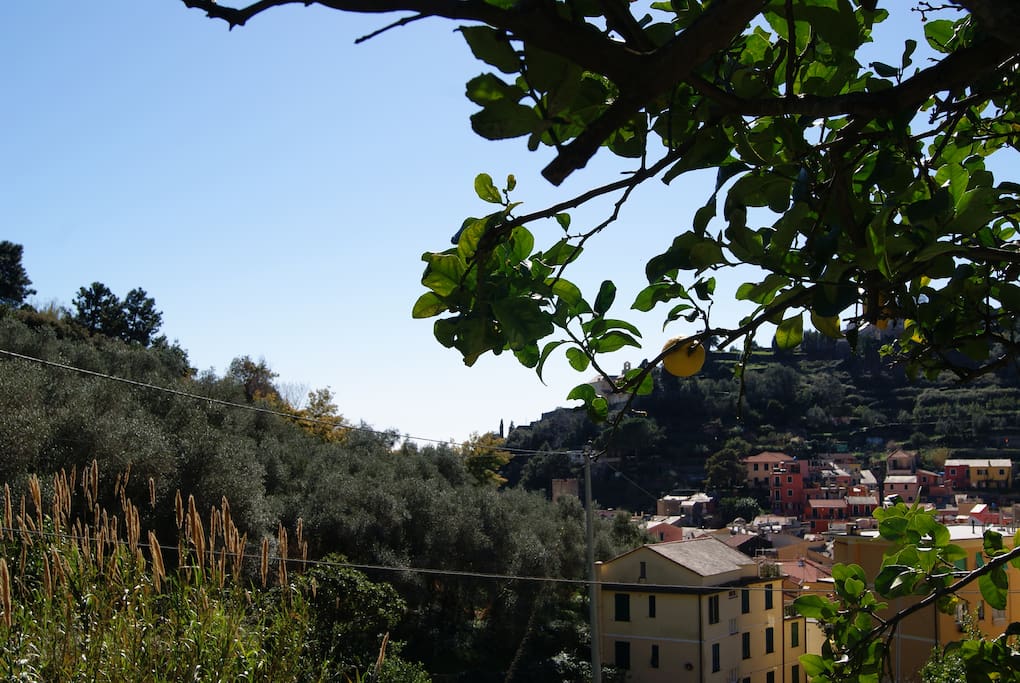 vista dal giardino