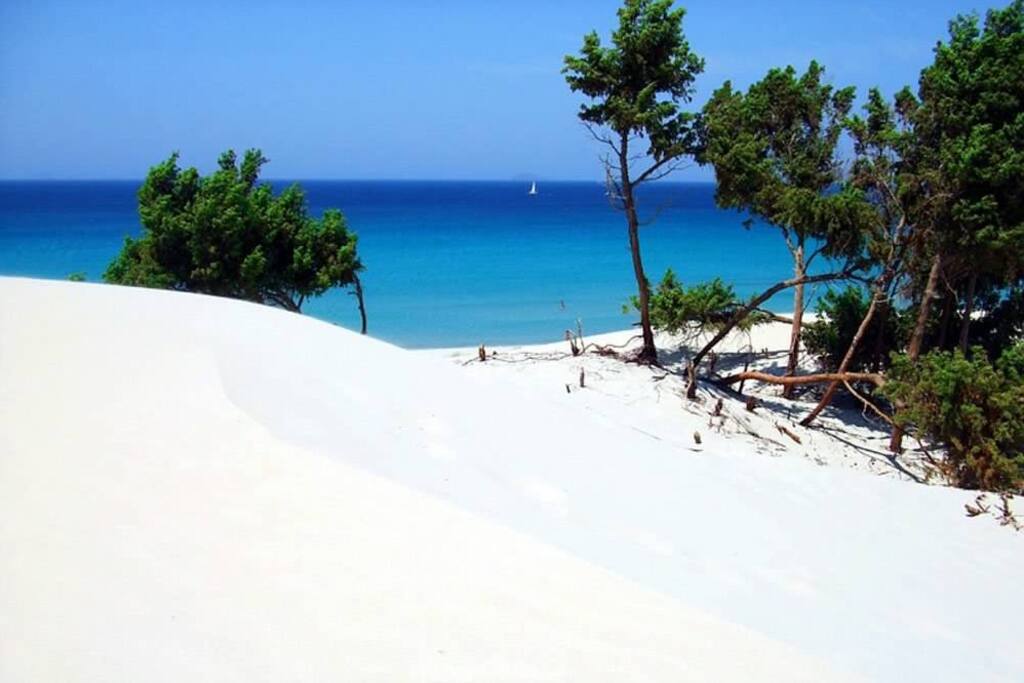 Le splendide dune di Porto Pino