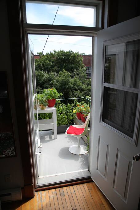 Balcon avant avec beaucoup de plantes. Elles adorent la lumière. / Front balcony with lots of plants . They love the light.