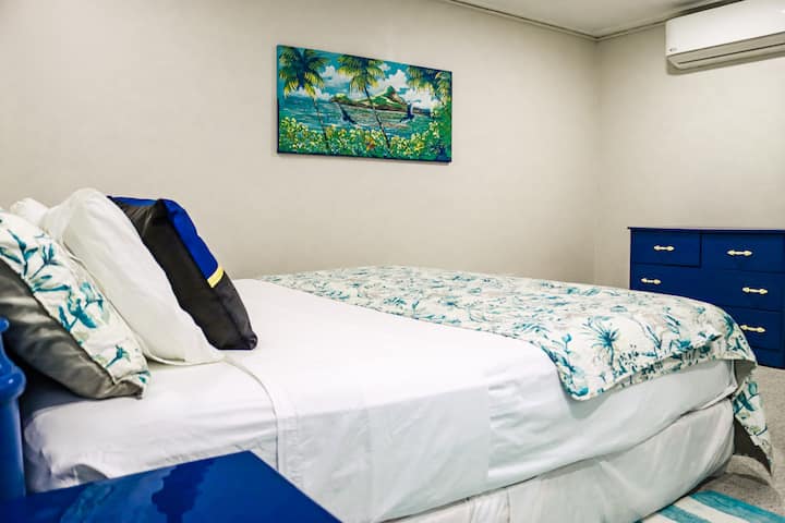 חדר יחיד עם מיטת קינג סייז 