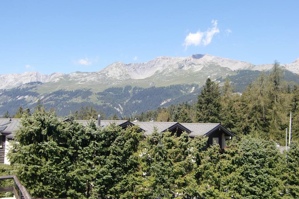 summer view from the terrace garden