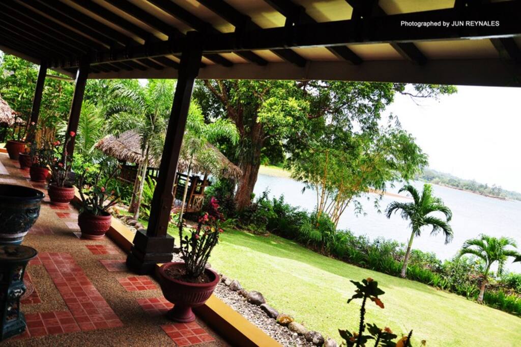 View from the terrace