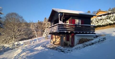 Quiet independent cottage surrounded by forest.