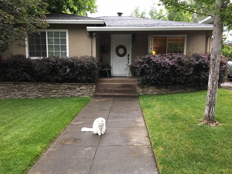Our lion ChouChou guards our neighborhood, in particular your car!