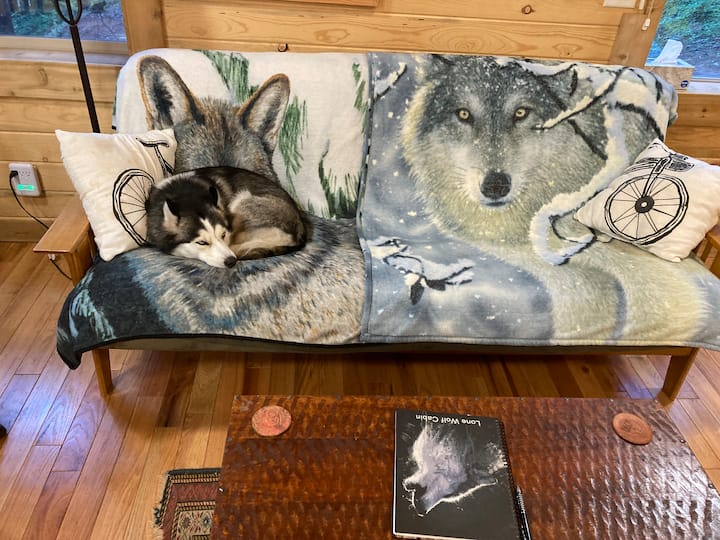 Lone Wolf Cabin, Pet Friendly - Oakridge, OR