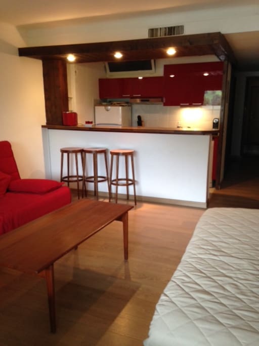 pièce principale avec un canapé lit 2 places et 1 une place