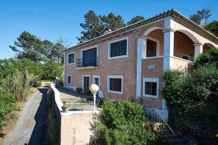 Casa nas Nuvens Main House – mountain/ocean views gallery image 4