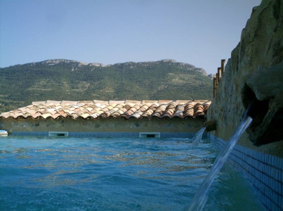 La piscine 10 m x 5 m