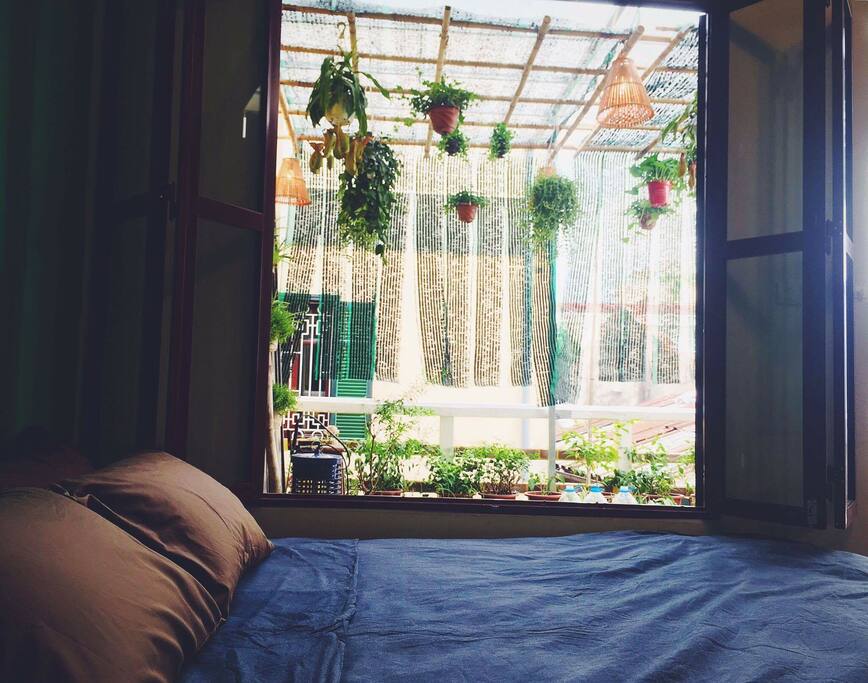 View from out king-size bed