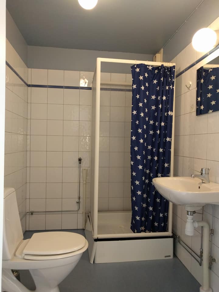 Downtown accommodation for 3 - 4 persons. Private kitchenette