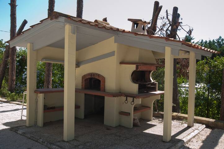 Domus in viridi gallery image 2