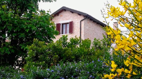 Il Casale -  Parco Naz. Alta Murgia