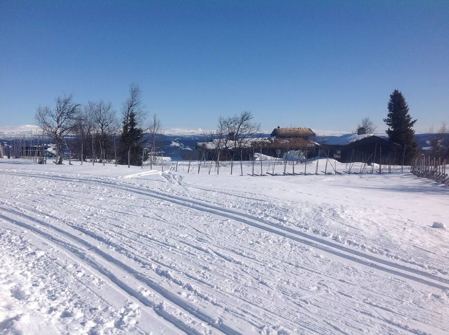 Ski slopes just outside the cabin