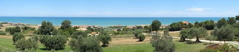 Popular Airbnb listing: L'Orto Marino B&B in Potenza Picena
