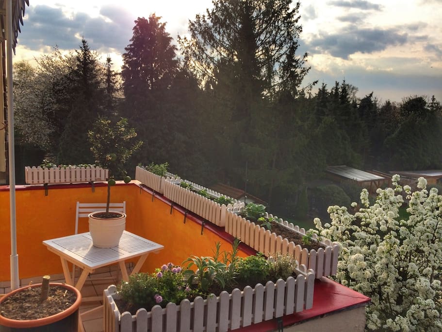 Chill out in the sun: Southside balcony with fresh herbs and fruits all sommer long