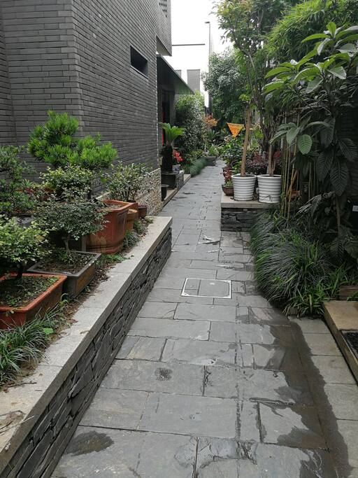 我家门口的景观