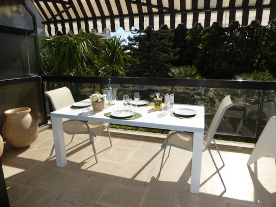 GRANDE TERRASSE ENSOLEILLEE
