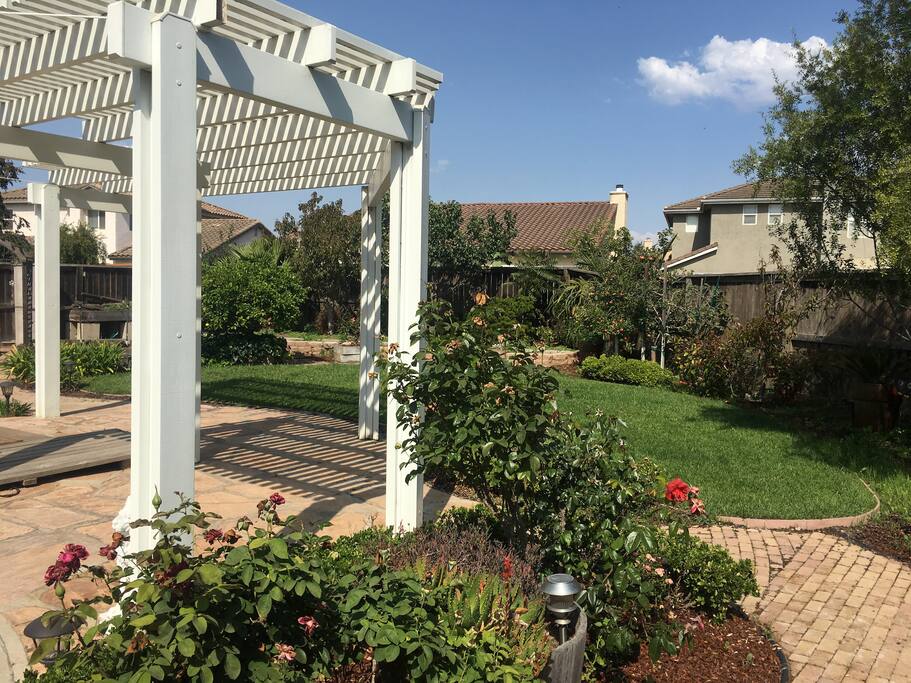 Big Wonderful Backyard.