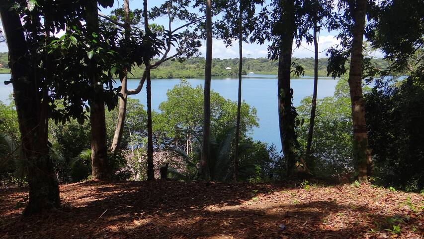 Jungle House - Birds,Monkeys, Flowers, Swim & Hike