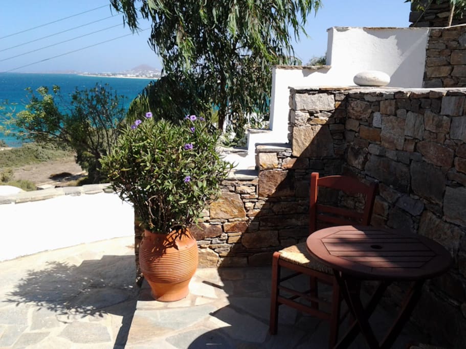 Terras 1