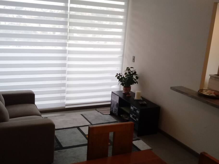 Living y comedor juntos