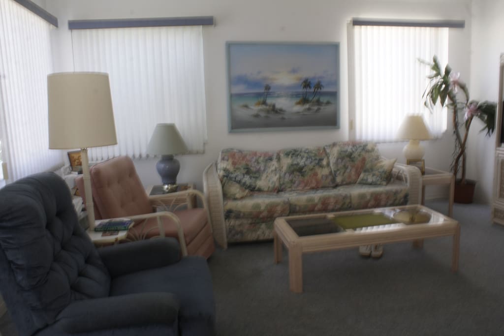 living area, couch and chairs comfortable comforatble