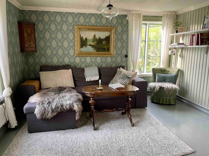 Obývacia izba na prízemí.  Na gauči je rozkladacia pohovka pre dve postele.