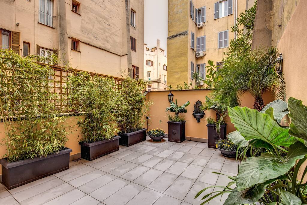 Terrace with various plants