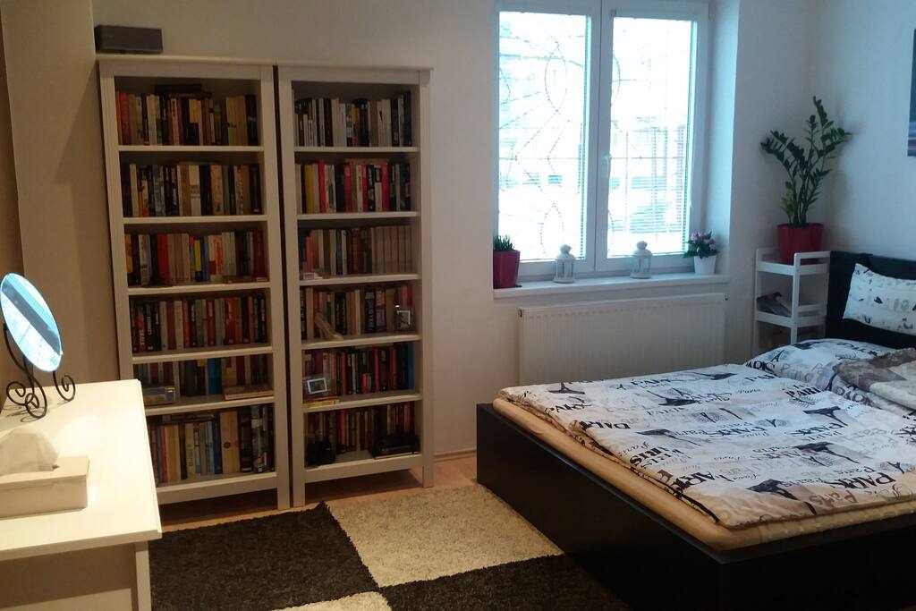 Prostorná ložnice s kuchyňským koutem a knihovnou.. Spacious bedroom with kitchen and library..